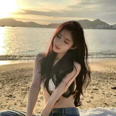 超级情报员麦汉续集